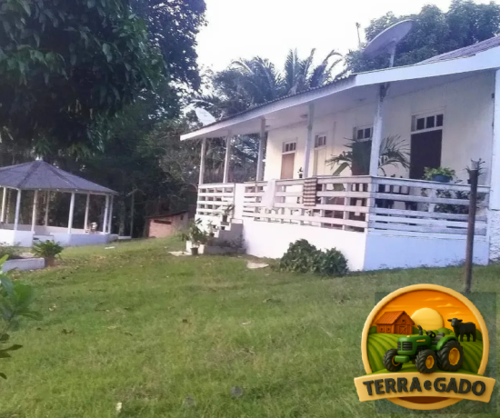ilha-exclusiva-a-venda-na-floresta-amazonica-em-iranduba-turismo-rural-ecoturismo-e-experiencia-unica-na-amazonia-big-2