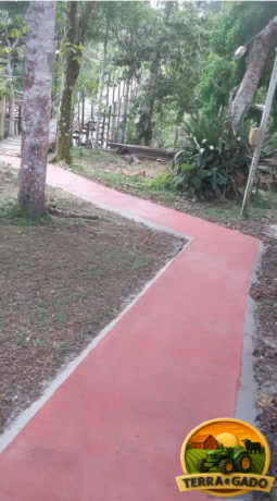ilha-exclusiva-a-venda-na-floresta-amazonica-em-iranduba-turismo-rural-ecoturismo-e-experiencia-unica-na-amazonia-big-4
