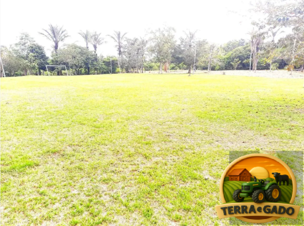 ilha-exclusiva-a-venda-na-floresta-amazonica-em-iranduba-turismo-rural-ecoturismo-e-experiencia-unica-na-amazonia-big-3