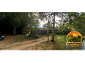 terreno-industrial-aprovado-com-incentivos-fiscais-a-venda-area-pronta-para-construir-e-operar-small-3