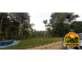 terreno-industrial-aprovado-com-incentivos-fiscais-a-venda-area-pronta-para-construir-e-operar-small-2
