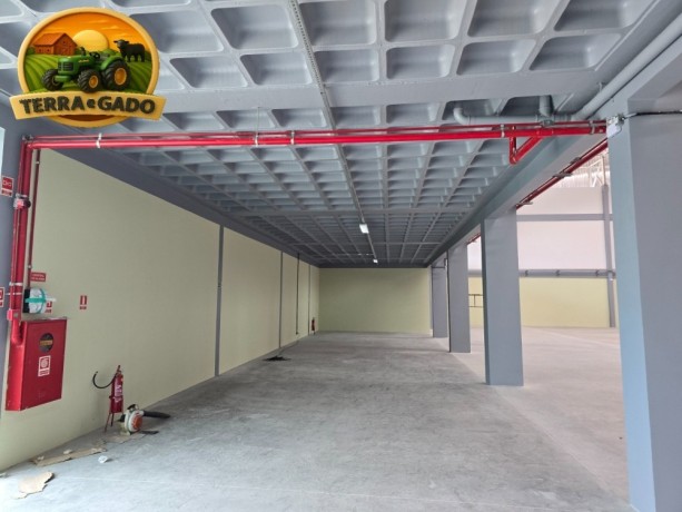 galpao-logistico-para-o-agronegocio-estrutura-moderna-para-armazenagem-e-operacoes-agro-big-3
