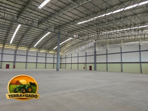 galpao-logistico-para-o-agronegocio-estrutura-moderna-para-armazenagem-e-operacoes-agro-big-1