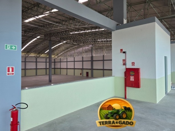 galpao-logistico-para-o-agronegocio-estrutura-moderna-para-armazenagem-e-operacoes-agro-big-4