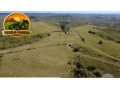 arrendamento-pecuario-em-bage-rs-fazenda-completa-para-1000-vacas-de-cria-2350-hectares-small-2