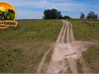 arrendamento-pecuario-em-bage-rs-fazenda-completa-para-1000-vacas-de-cria-2350-hectares