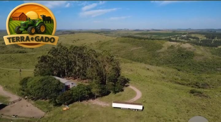 arrendamento-pecuario-em-bage-rs-fazenda-completa-para-1000-vacas-de-cria-2350-hectares-big-3
