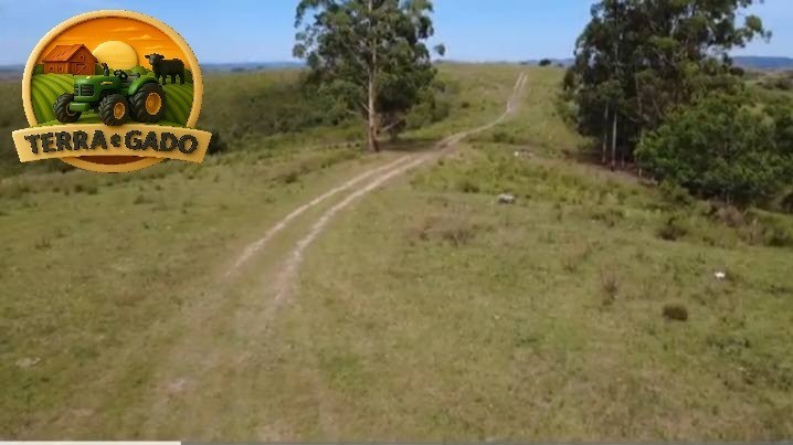 arrendamento-pecuario-em-bage-rs-fazenda-completa-para-1000-vacas-de-cria-2350-hectares-big-1