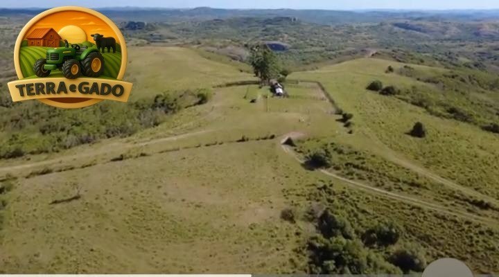 arrendamento-pecuario-em-bage-rs-fazenda-completa-para-1000-vacas-de-cria-2350-hectares-big-2