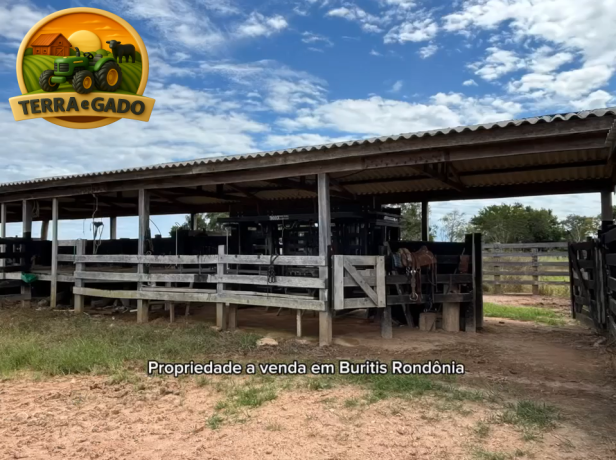 fazenda-a-venda-em-buritis-ro-320-hectares-rica-em-agua-e-pronta-para-pecuaria-big-2