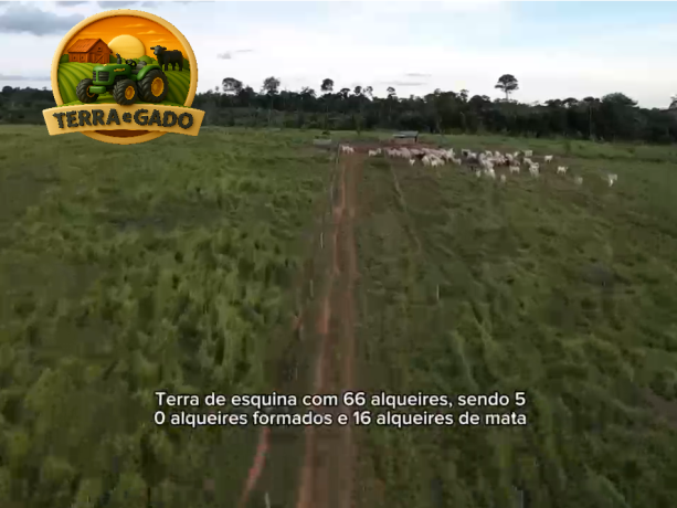 fazenda-a-venda-em-buritis-ro-320-hectares-rica-em-agua-e-pronta-para-pecuaria-big-0