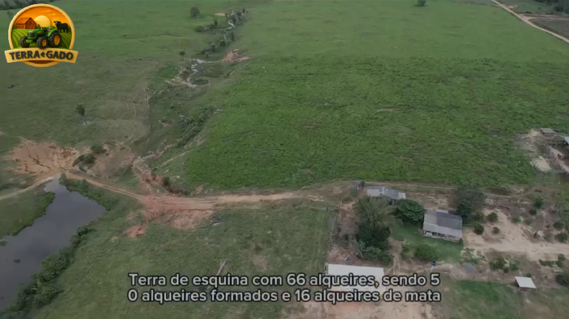 fazenda-a-venda-em-buritis-ro-320-hectares-rica-em-agua-e-pronta-para-pecuaria-big-3