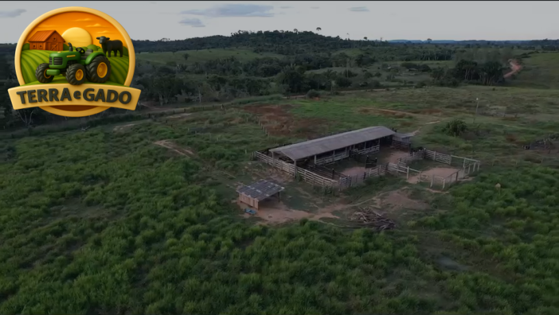 fazenda-a-venda-em-buritis-ro-320-hectares-rica-em-agua-e-pronta-para-pecuaria-big-1
