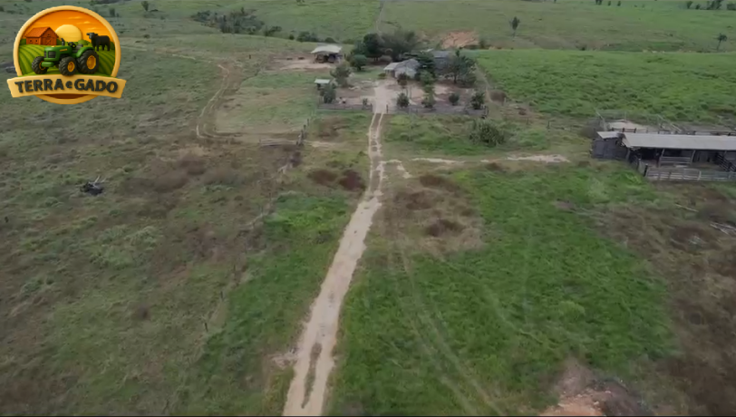 fazenda-a-venda-em-buritis-ro-320-hectares-rica-em-agua-e-pronta-para-pecuaria-big-4