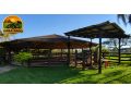 haras-de-alto-padrao-em-porto-alegre-rs-6-hectares-com-estrutura-completa-para-cavalos-crioulos-small-1