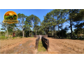 haras-de-alto-padrao-em-porto-alegre-rs-6-hectares-com-estrutura-completa-para-cavalos-crioulos-small-2