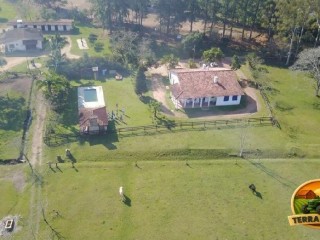 haras-de-alto-padrao-em-porto-alegre-rs-6-hectares-com-estrutura-completa-para-cavalos-crioulos