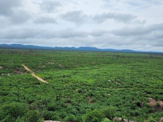 arrendamento-pecuario-no-para-fazenda-estruturada-para-7000-bezerros-ou-5000-vacas