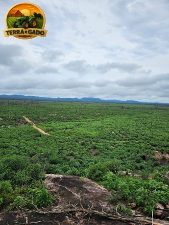 arrendamento-pecuario-no-para-fazenda-estruturada-para-7000-bezerros-ou-5000-vacas-big-0