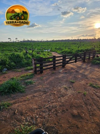 arrendamento-pecuario-no-para-fazenda-estruturada-para-7000-bezerros-ou-5000-vacas-big-1