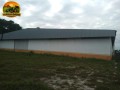 galpao-logistico-para-o-agronegocio-em-manaus-2900-m2-distrito-industrial-ii-avcb-aprovado-small-0