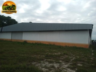 galpao-logistico-para-o-agronegocio-em-manaus-2900-m2-distrito-industrial-ii-avcb-aprovado