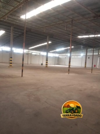galpao-logistico-para-o-agronegocio-em-manaus-2900-m2-distrito-industrial-ii-avcb-aprovado-big-2