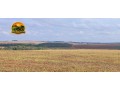fazenda-irrigada-a-venda-em-cabeceiras-go-872-hectares-450-hectares-irrigados-alta-produtividade-small-4