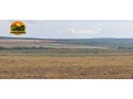 fazenda-irrigada-a-venda-em-cabeceiras-go-872-hectares-450-hectares-irrigados-alta-produtividade-small-3