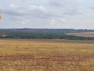fazenda-irrigada-a-venda-em-cabeceiras-go-872-hectares-450-hectares-irrigados-alta-produtividade