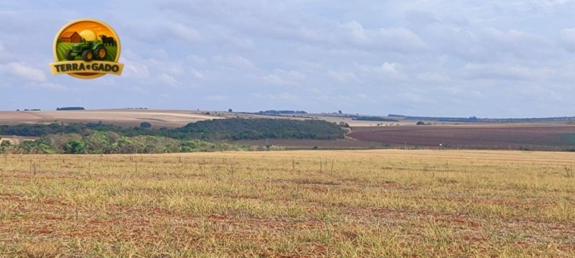 fazenda-irrigada-a-venda-em-cabeceiras-go-872-hectares-450-hectares-irrigados-alta-produtividade-big-4