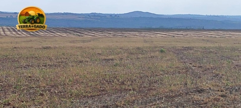 fazenda-irrigada-a-venda-em-cabeceiras-go-872-hectares-450-hectares-irrigados-alta-produtividade-big-1
