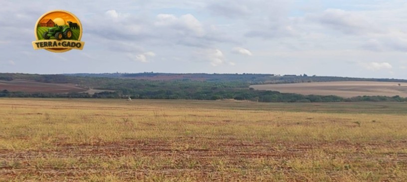 fazenda-irrigada-a-venda-em-cabeceiras-go-872-hectares-450-hectares-irrigados-alta-produtividade-big-0