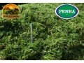 colhedora-de-forragens-penha-capimpenha-1510-pr-nova-15-m-de-corte-trator-75-cv-small-4