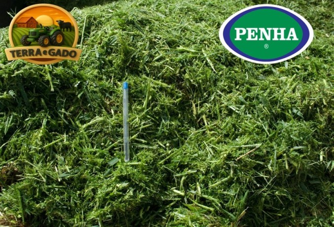 colhedora-de-forragens-penha-capimpenha-1510-pr-nova-15-m-de-corte-trator-75-cv-big-4