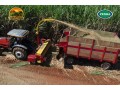 penha-cfm-25-colhedora-de-forragens-para-cana-capim-milho-e-sorgo-small-4
