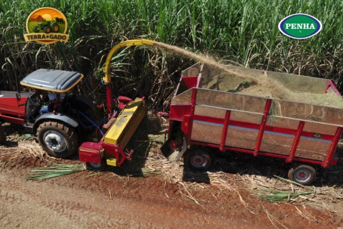 penha-cfm-25-colhedora-de-forragens-para-cana-capim-milho-e-sorgo-big-4