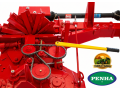 colhedora-de-forragens-penha-atp-12-ruk-nova-2-linhas-milho-sorgo-e-capiacu-small-2