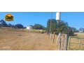 fazenda-a-venda-em-posse-go-340-alqueires-goianos-1646-hectares-dupla-aptidao-estrutura-completa-small-2