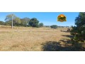 fazenda-a-venda-em-posse-go-340-alqueires-goianos-1646-hectares-dupla-aptidao-estrutura-completa-small-1