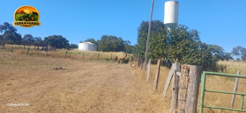 fazenda-a-venda-em-posse-go-340-alqueires-goianos-1646-hectares-dupla-aptidao-estrutura-completa-big-2