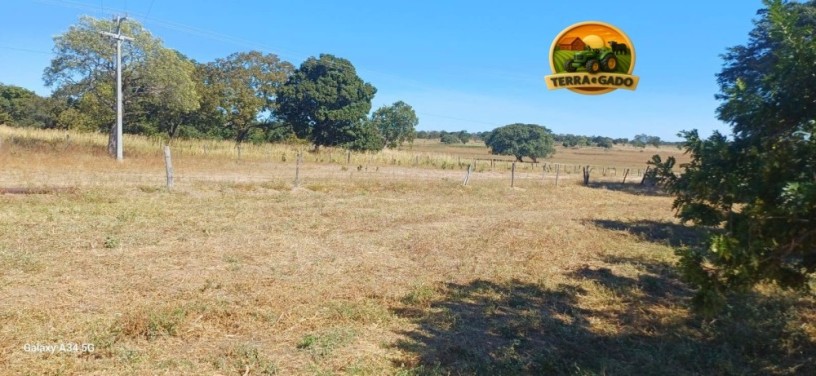 fazenda-a-venda-em-posse-go-340-alqueires-goianos-1646-hectares-dupla-aptidao-estrutura-completa-big-1