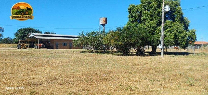 fazenda-a-venda-em-posse-go-340-alqueires-goianos-1646-hectares-dupla-aptidao-estrutura-completa-big-0