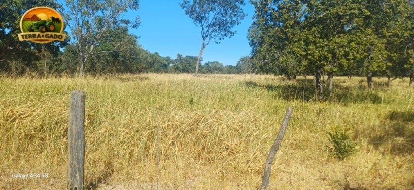 fazenda-a-venda-em-posse-go-340-alqueires-goianos-1646-hectares-dupla-aptidao-estrutura-completa-big-3
