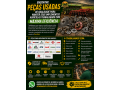 pecas-usadas-para-implementos-agricolas-compra-e-venda-em-rondonia-small-0