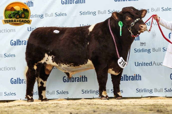 semen-beef-shorthorn-runleymill-reggie-h-ex93-millerston-milkybar-kid-facilidade-de-parto-big-0