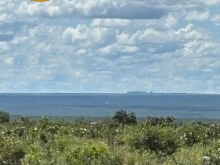 arrendamento-de-fazenda-5000-hectares-em-cerejeiras-ro-area-escriturada-apta-para-soja-milho-e-eucalipto
