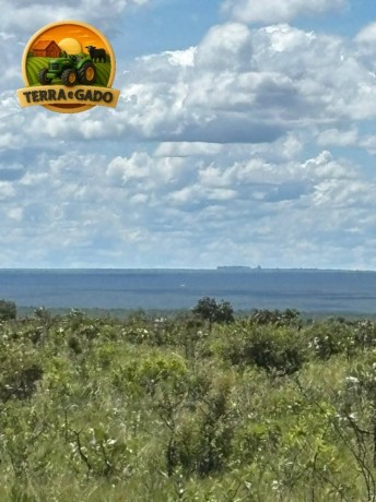 arrendamento-de-fazenda-5000-hectares-em-cerejeiras-ro-area-escriturada-apta-para-soja-milho-e-eucalipto-big-0