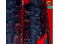 vagao-misturador-penha-rodamix-duo-4-6-10-ou-12-m3-novo-duas-roscas-descarga-por-esteira-small-2