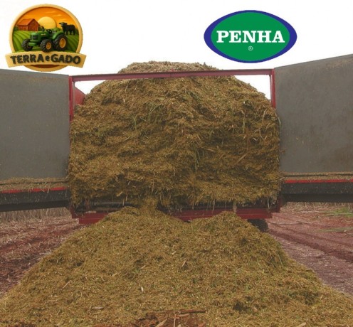 vagao-forrageiro-penha-vfp-9-ou-vfp-13-novo-preparador-e-repartidor-de-ensilagem-big-4